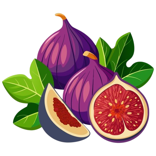 Fruits